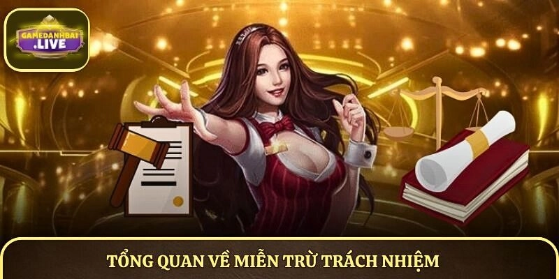 Tổng quan ngắn gọn về miễn trừ trách nhiệm